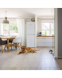 Montpellier MFF165W 54cm 50/50 Frost Free Fridge Freezer in White
